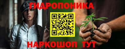 гидропоника Пугачёв