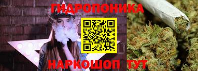 гидропоника Пугачёв